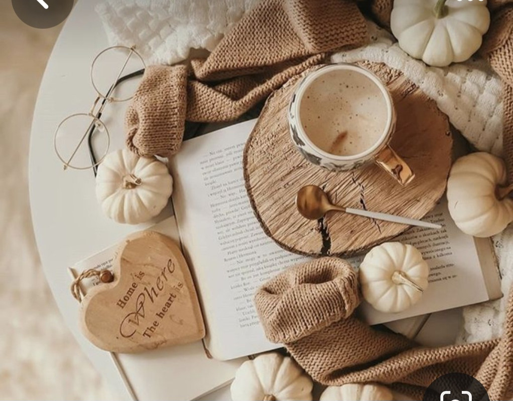 Screenshot_20231110_223035_Pinterest