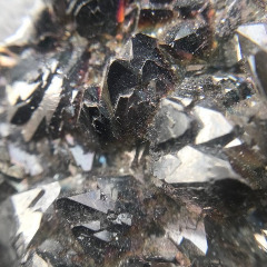 600x600bb_p2n2v.jpg