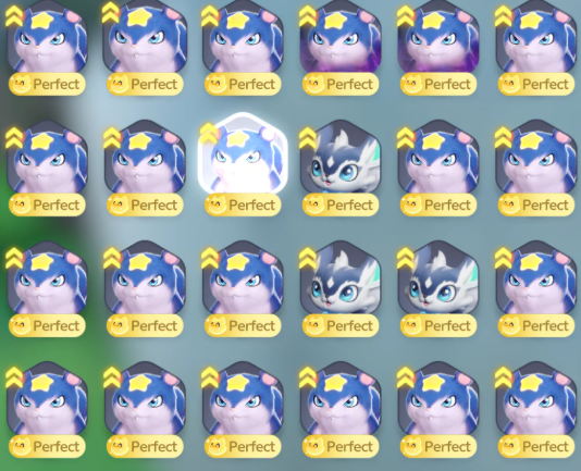 Screenshot 2026 09 29 221620