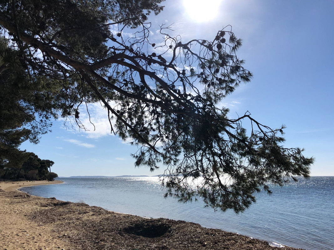 6B844CFC-7743-4CD3-A1B8-B1F311788B6B