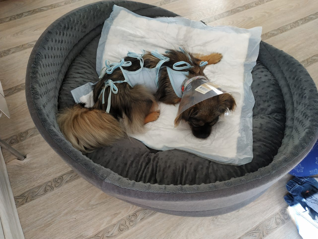 IMG-136ee64a921b7d40cfc44f2982c42dad-V