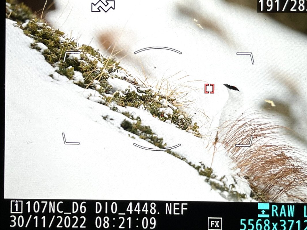 3E27B65F-238B-4A15-BDF8-FEB2FB56ACD6