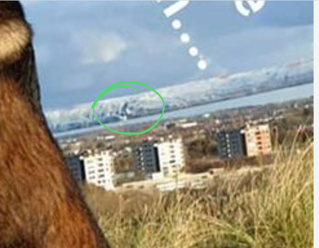 C4BE1647-B3B8-4434-BFF6-ADB707EA75CA