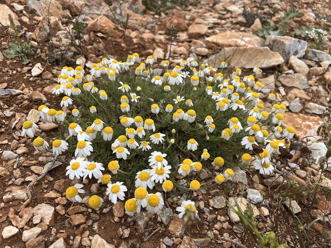 7AF8AC01-ECD8-4478-8BC1-CEA430B85131