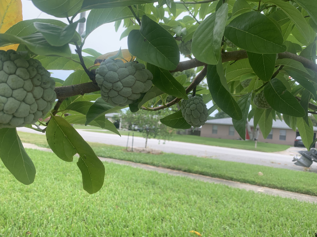 3623FC81-3B69-4897-9D2E-B459193F2193