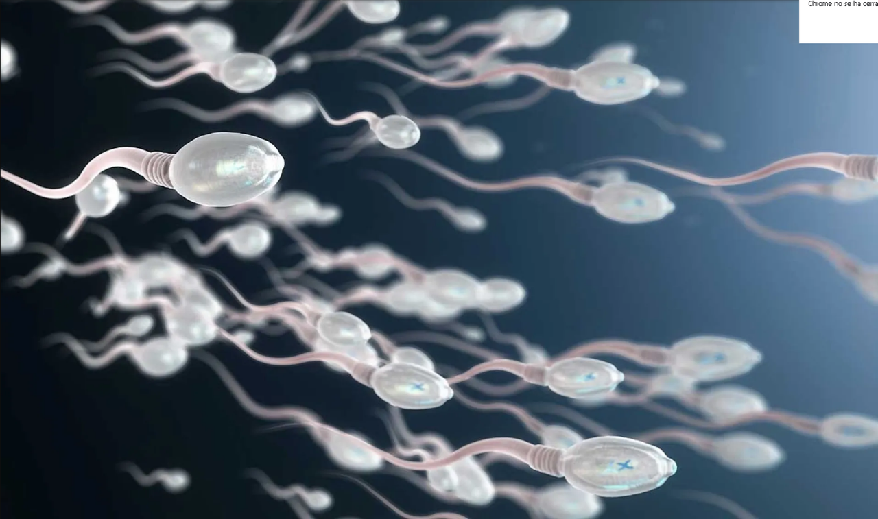 ¿Cuánto tiempo tarda un hombre en recuperar el esperma?