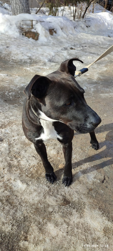 WhatsApp Image 2024-03-14 at 12.24.00 (2)