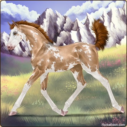 F11EE2BB-083C-4B56-B370-A6F3D4F97C2E