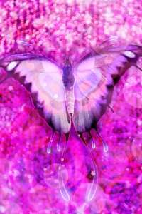 Fairy