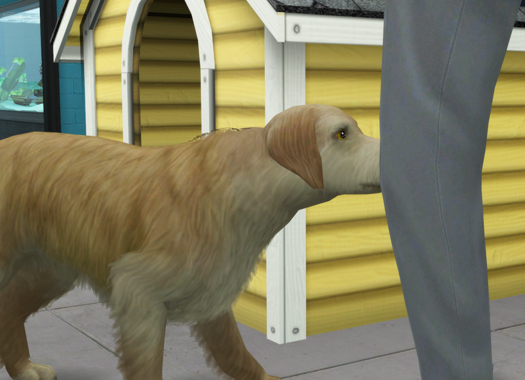 Sims2-EP9-RPC-2022-08-31-20-49-35-95