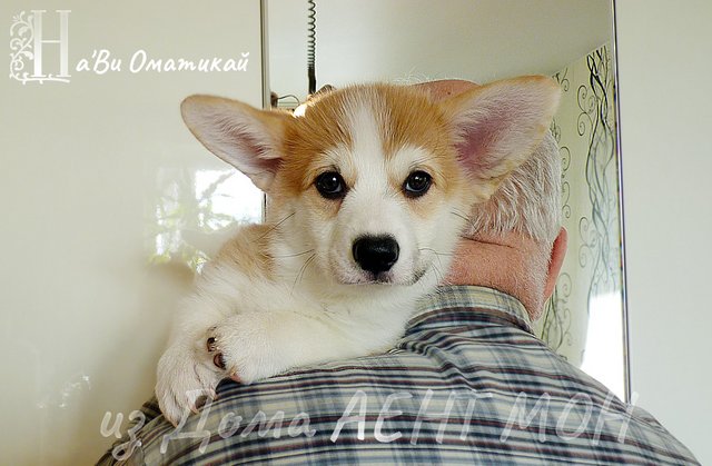 P1450767 копияВК