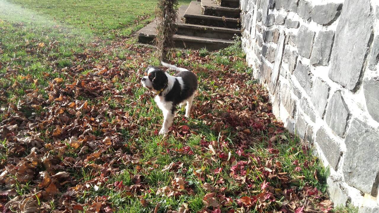 4626D796-6EB7-4890-8ADF-781E56C949BD