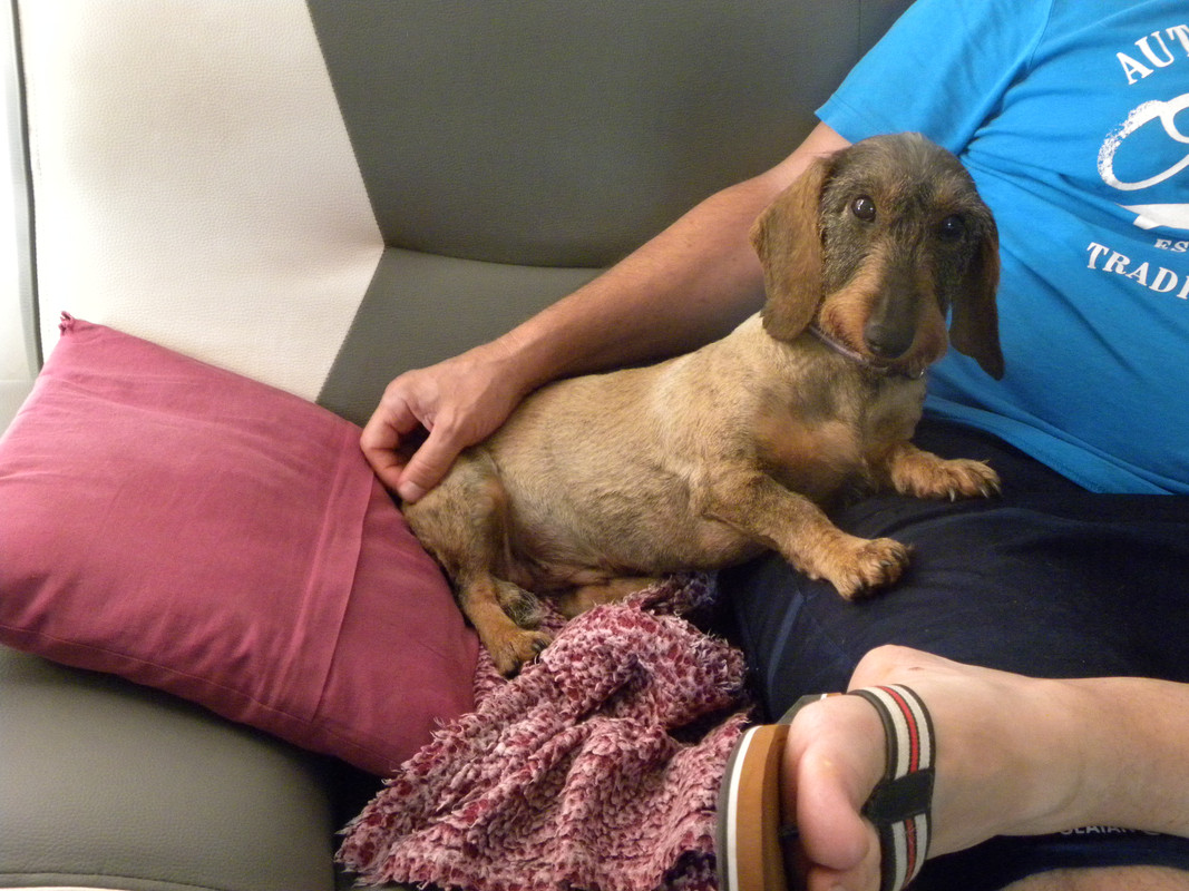 [Image: DSCN9528.jpg]