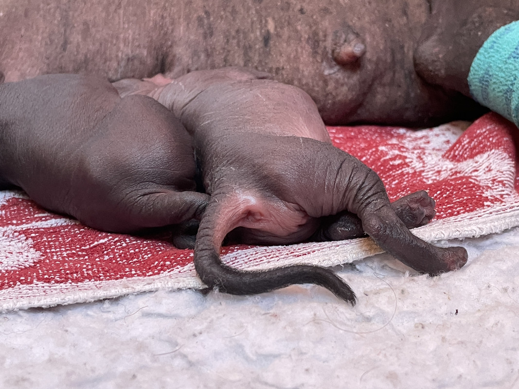 0D9BEBD4-E0CC-43B6-940F-2F1CBCABE960