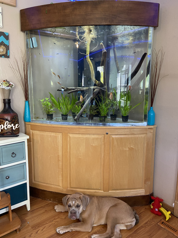 65EECE75-01AD-4030-8F6A-5E6349E380B5