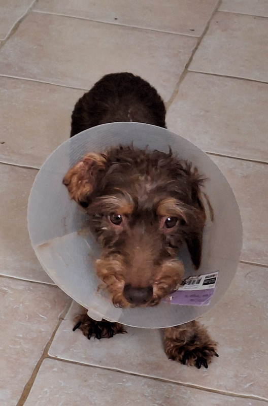 [Image: 20240816-165455.jpg]