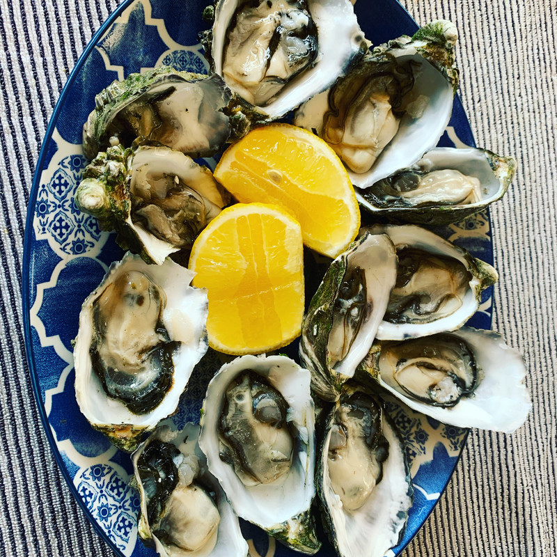 96096895-0169-4E1C-B2EB-6E74717A18E4