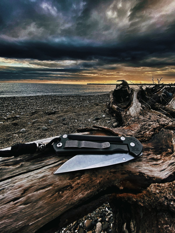 D94E3446-2965-48BA-8FD8-60464619B2F1