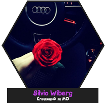 Silvio-Wiberg.png
