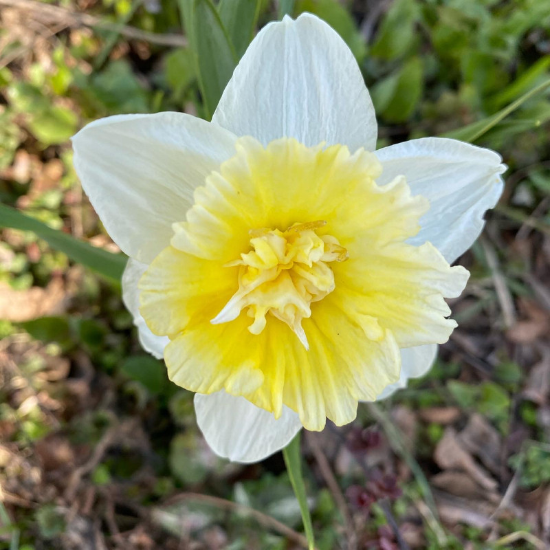 CDAE628D-7C62-4256-B3B4-32BC77092128