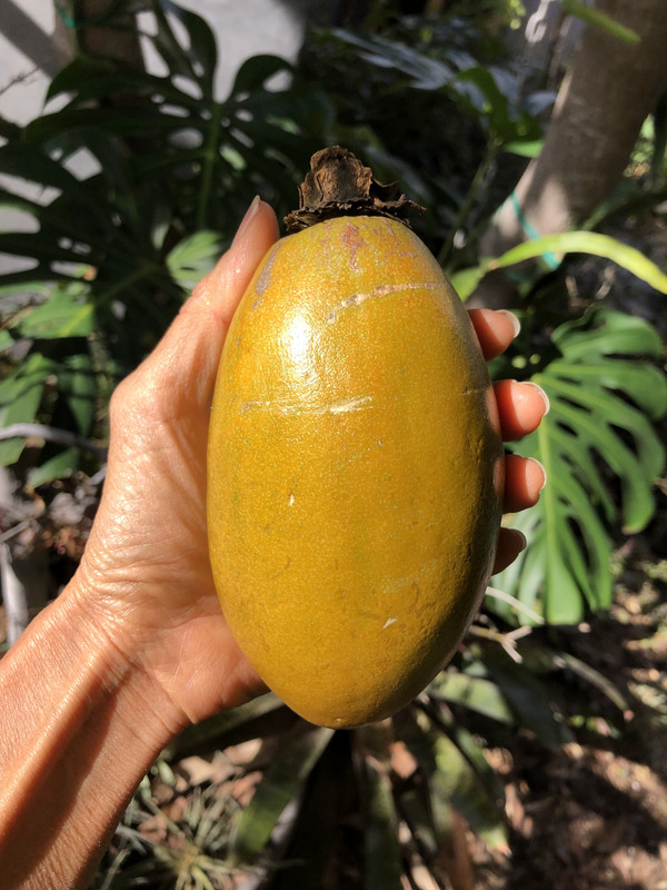 2A1357E7-809C-4653-A1F0-05D1ADA3DF4F