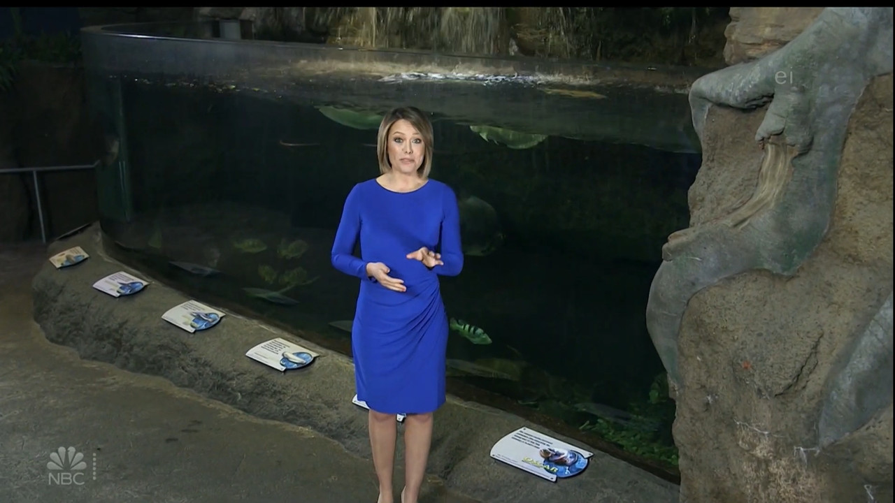 11.07 - 15.00.00 - Earth Odyssey With Dylan Dreyer. The world's smart....ts_snapshot_00.14.46.324