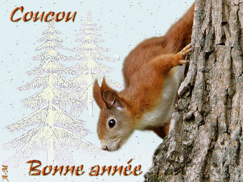 [Image: 28378f21.gif]