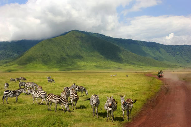 luxury Tanzania safari