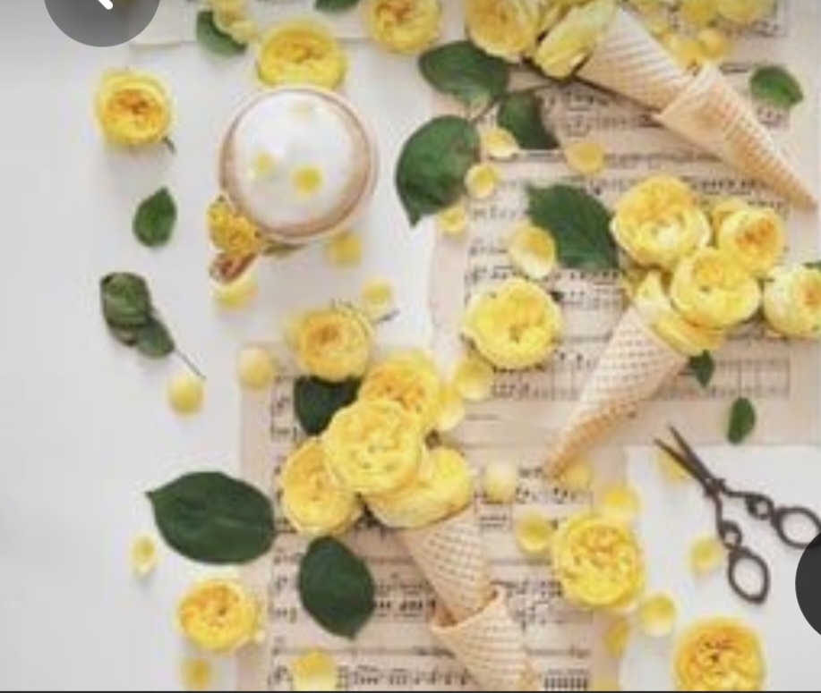 Screenshot_20230301_220709_Pinterest