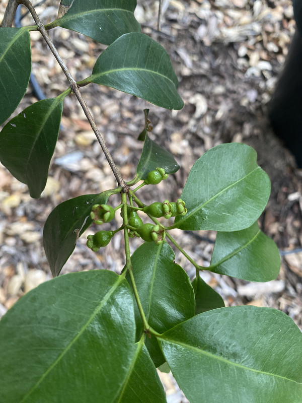 B2937BE8-1663-4E0E-ABCA-0AD8CD6F027E