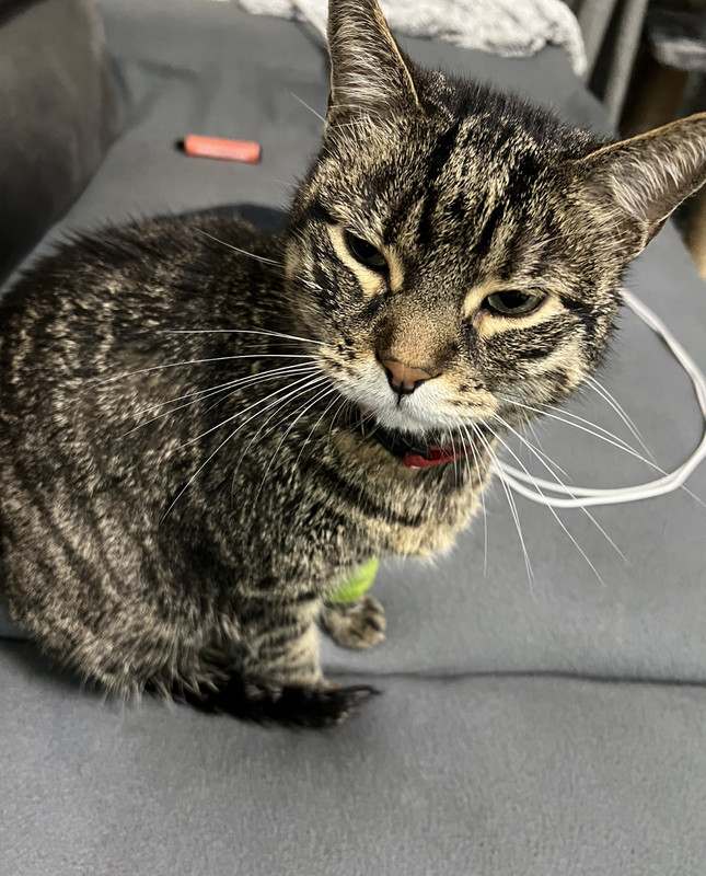 E6541CE2-3D04-493F-A776-176BD14CBFEB