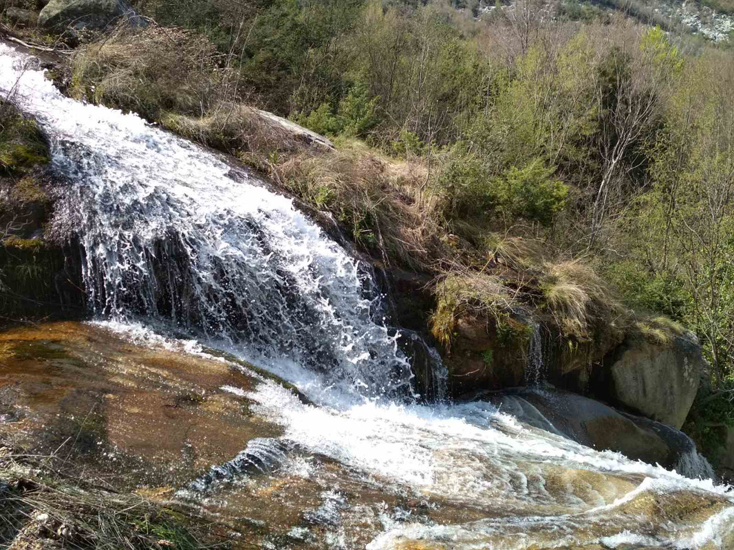 347458C7-D255-4209-B991-E18A3C22AC85