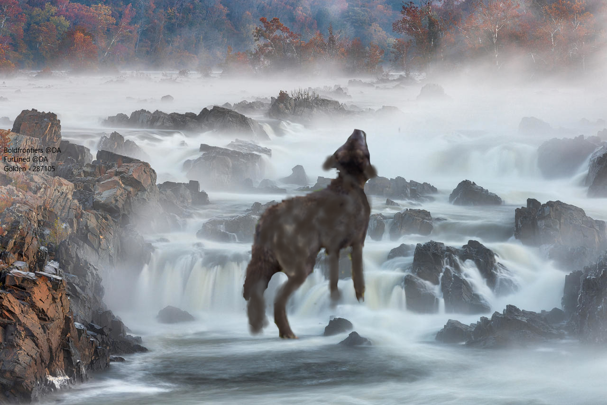 Wolf-Water.png