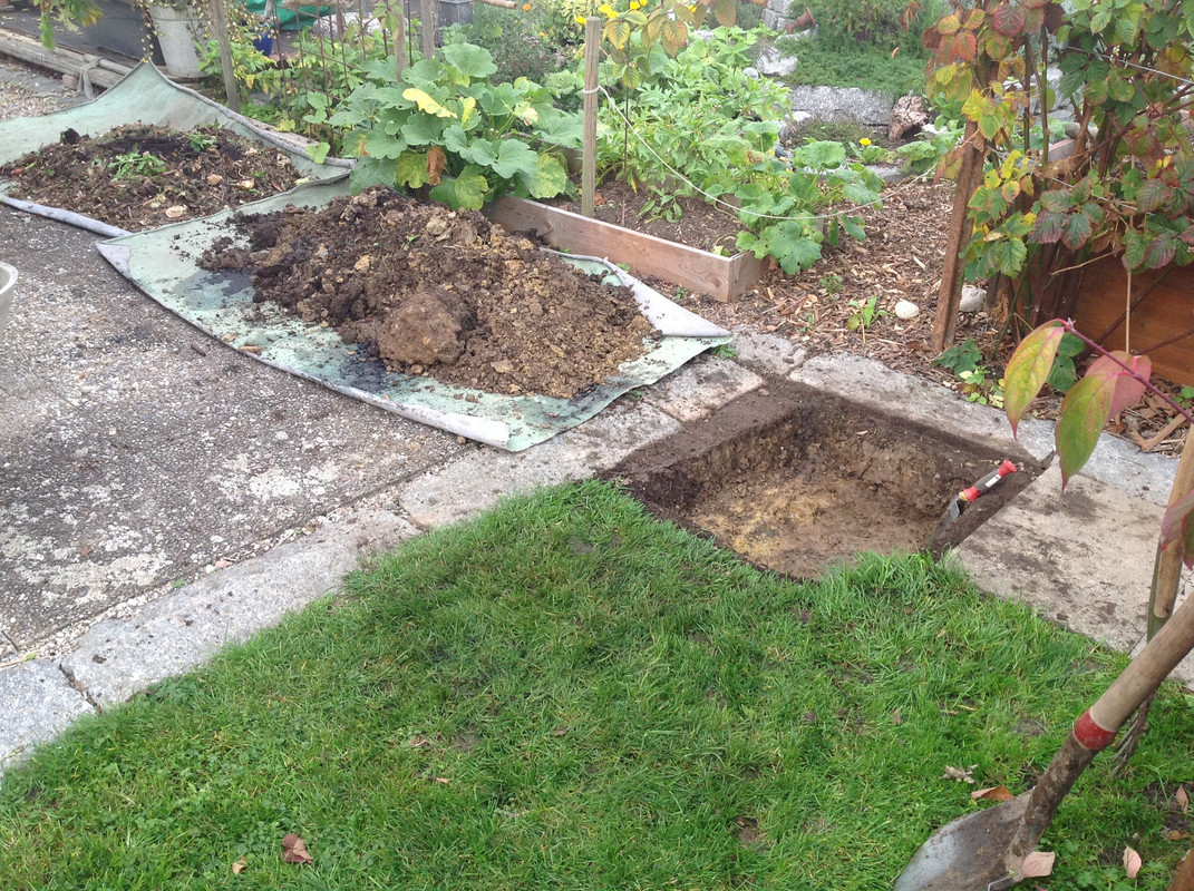 Komposter zügeln Fargesia setzen 24. 25.10 (2)