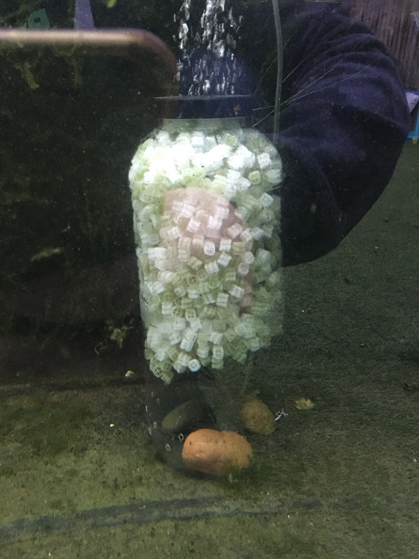 D9AEC5ED-EC90-400E-B6DF-9858A121DD41