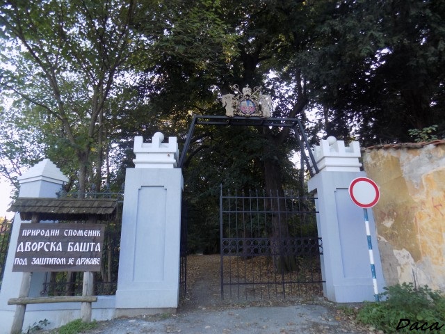 Slika