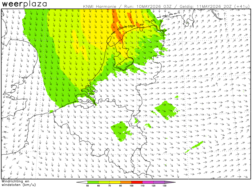 harmonienl-gust-2026051003-041.png
