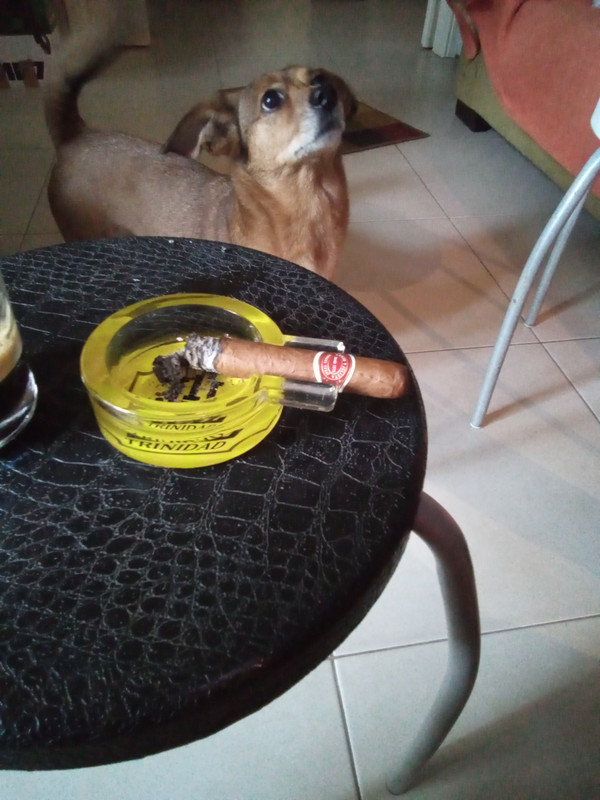 IMG_20230414_185350_218