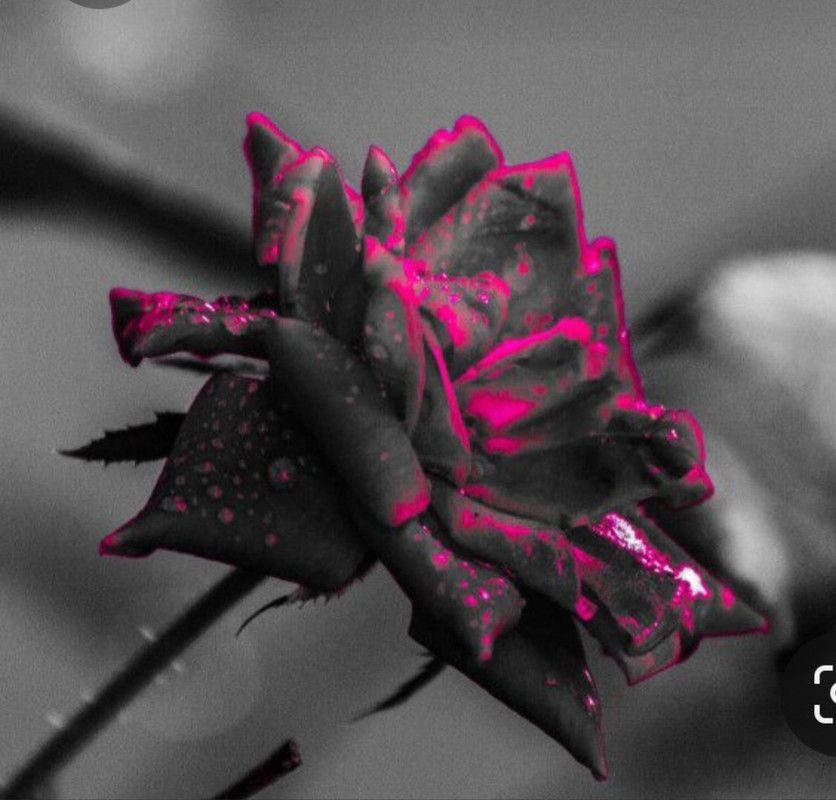 Screenshot_20230724_215810_Pinterest