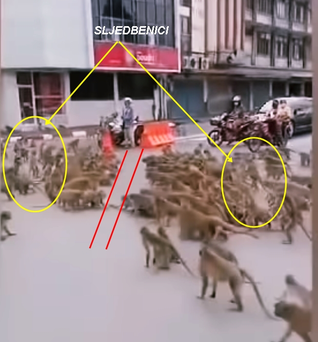 Kad zakaže sistem... 9