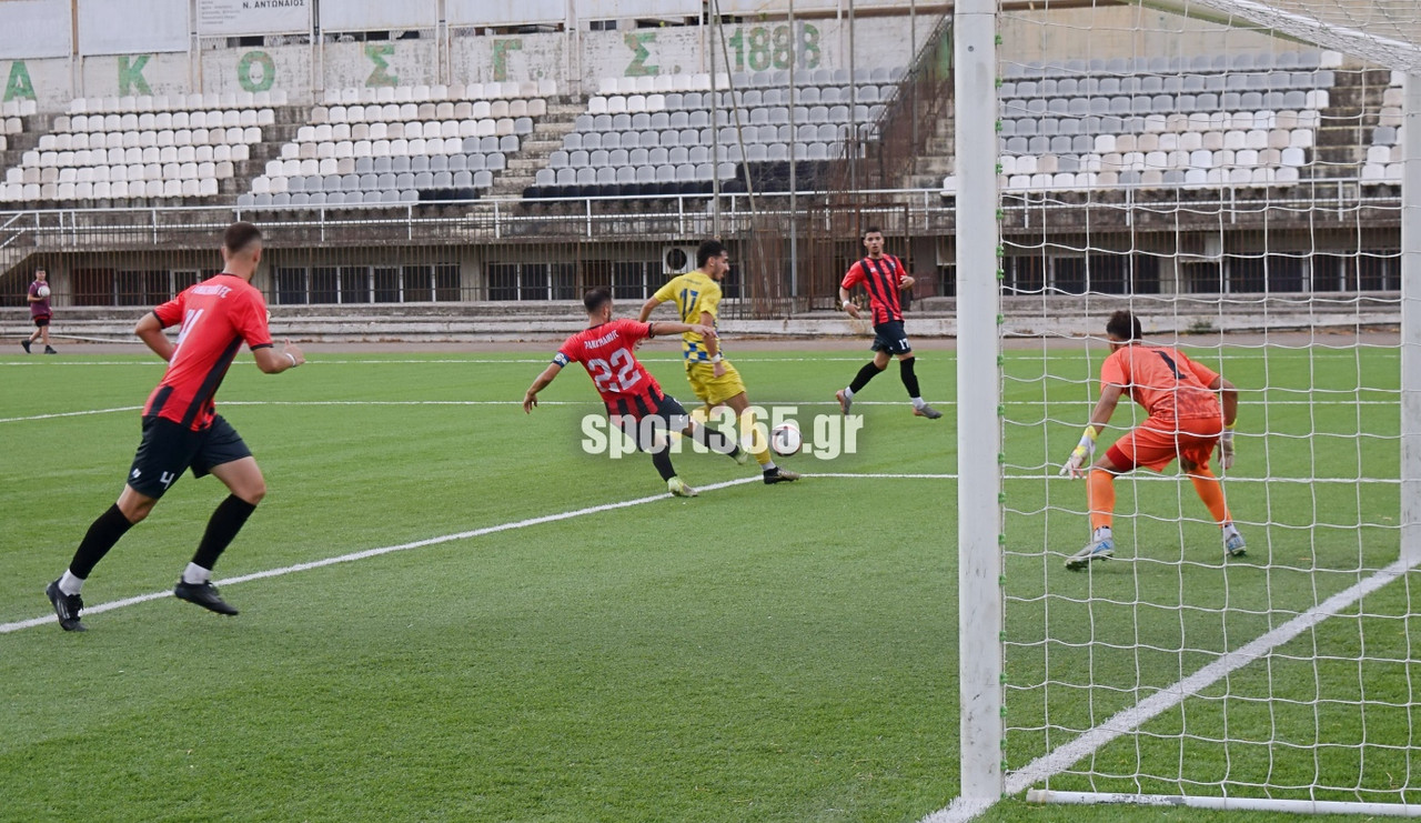 sp-panthou-panax-2-24-20250907