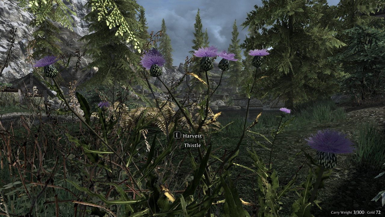 The-Elder-Scrolls-V-Skyrim-Special-Editi