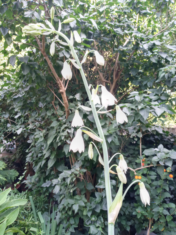 [Image: 20210906-121859.jpg]