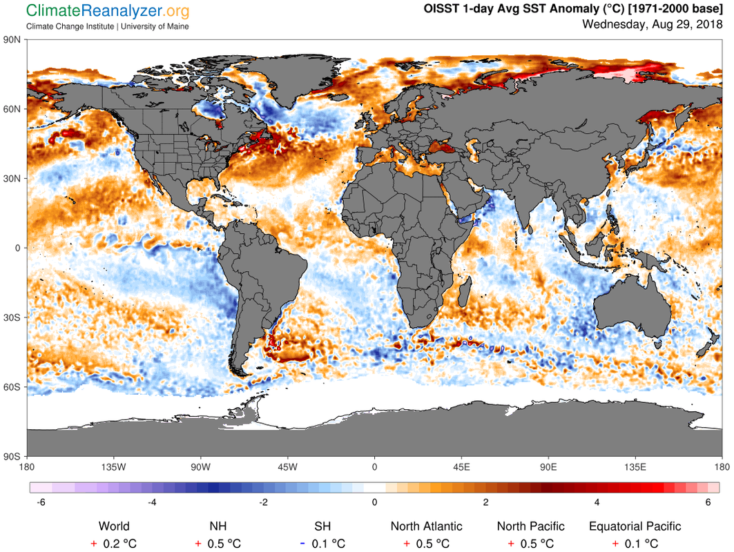 gfs_world-ced_sstanom_1-day