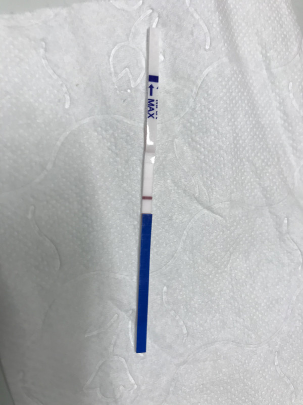 AB8691C6-8B47-46F2-87AA-BA07E8E22B1D