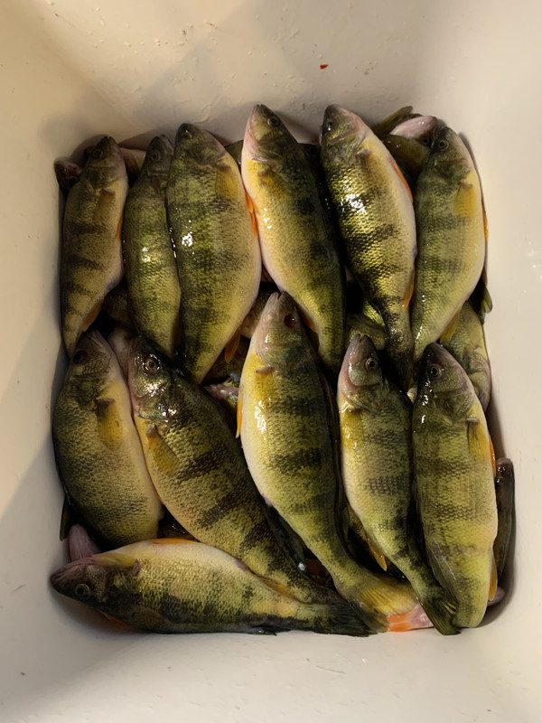 AD3838DF-1B89-4B3B-BBCA-CA070EC3F2EC