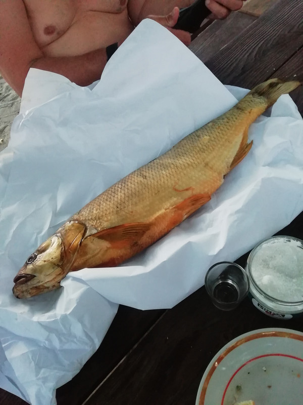 Изображение 1434