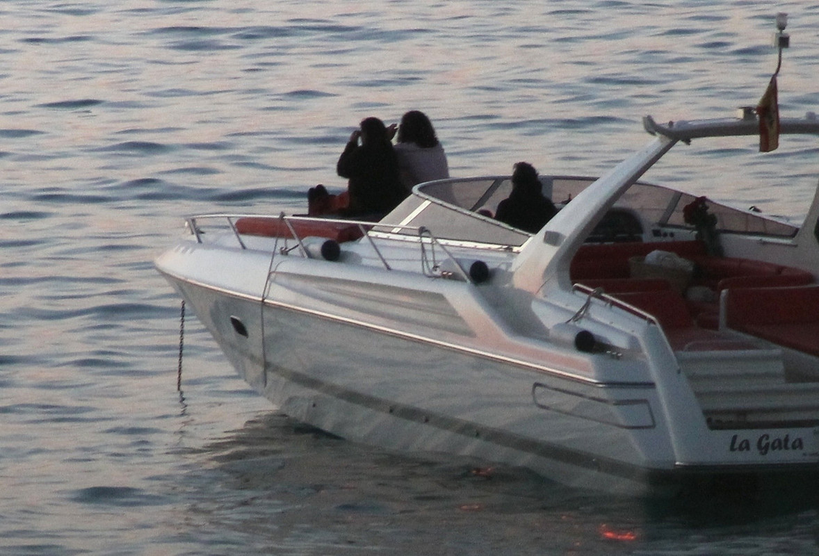 emmawatson-updates.com (90)