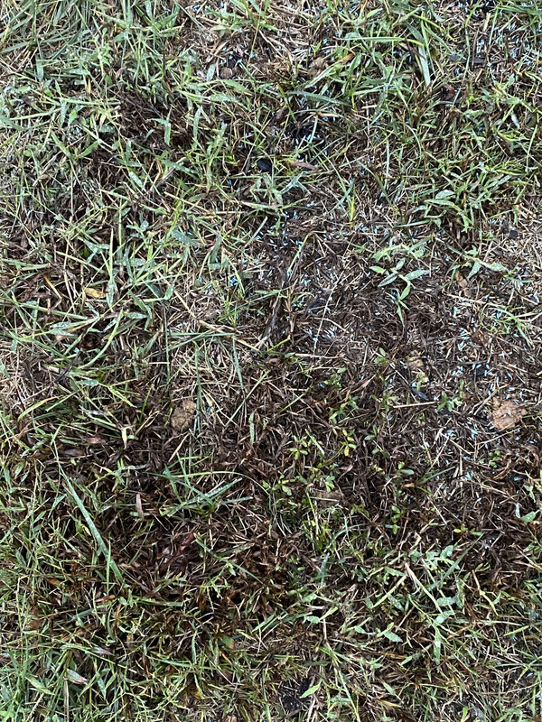 665D70B2-D3AD-4B55-A05D-C4BB15EA0B3A