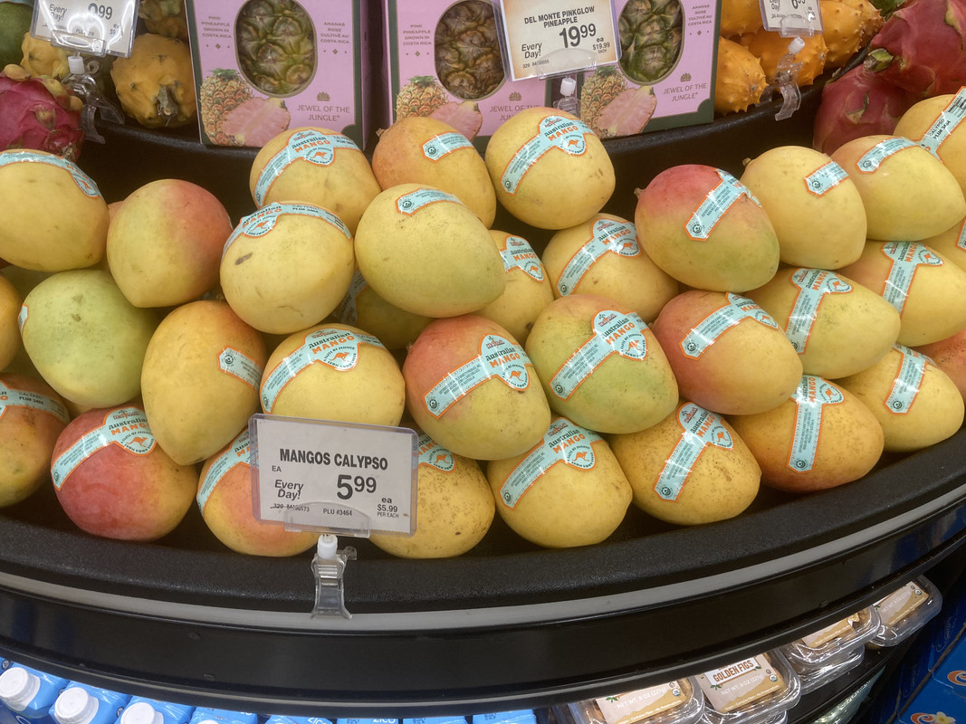 F69C5803-5A87-46B4-B849-2D06E2794F61